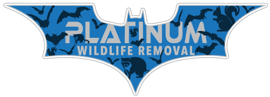 Bloomfield Wildlife LLC